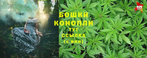 прущие крисы Абаза