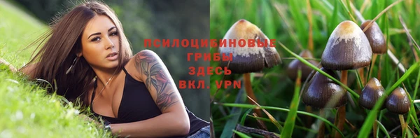 прущие крисы Абаза
