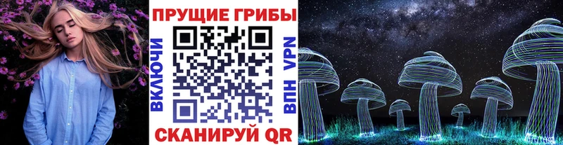 Псилоцибиновые грибы Psilocybe  наркотики  Апрелевка 